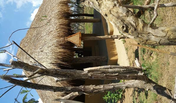 Traditional cadjan thatched huts with mud walls built from laterite earth