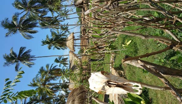 Artisan Village visual documentation photograph 08