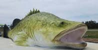 Completed white render of the Murray cod sculpture prior to painting