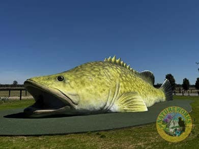 Detailed anatomical surface articulation on the tail fin