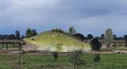 Murray Cod Sculpture visual documentation photograph 06