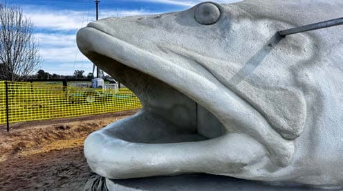 Murray Cod Sculpture visual documentation photograph 10