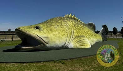 Murray Cod Sculpture visual documentation photograph 13