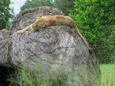 Ridiyagama Safari Park visual documentation photograph 04