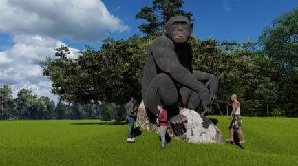 Tacugama Chimpanzee Sanctuary visual documentation photograph 08